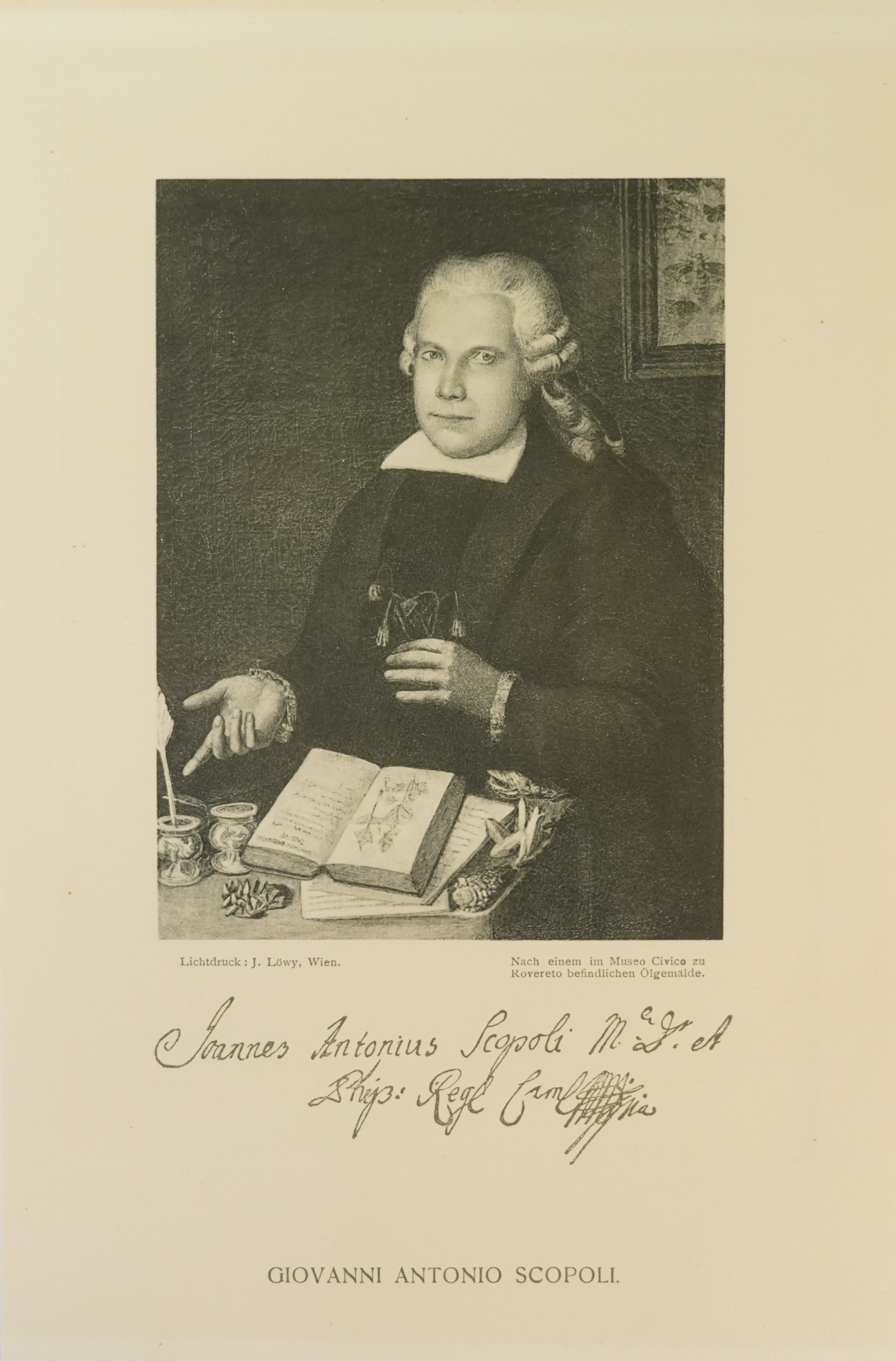 Unknown artist, Lichtdruck von Giovanni Antonia Scopoli