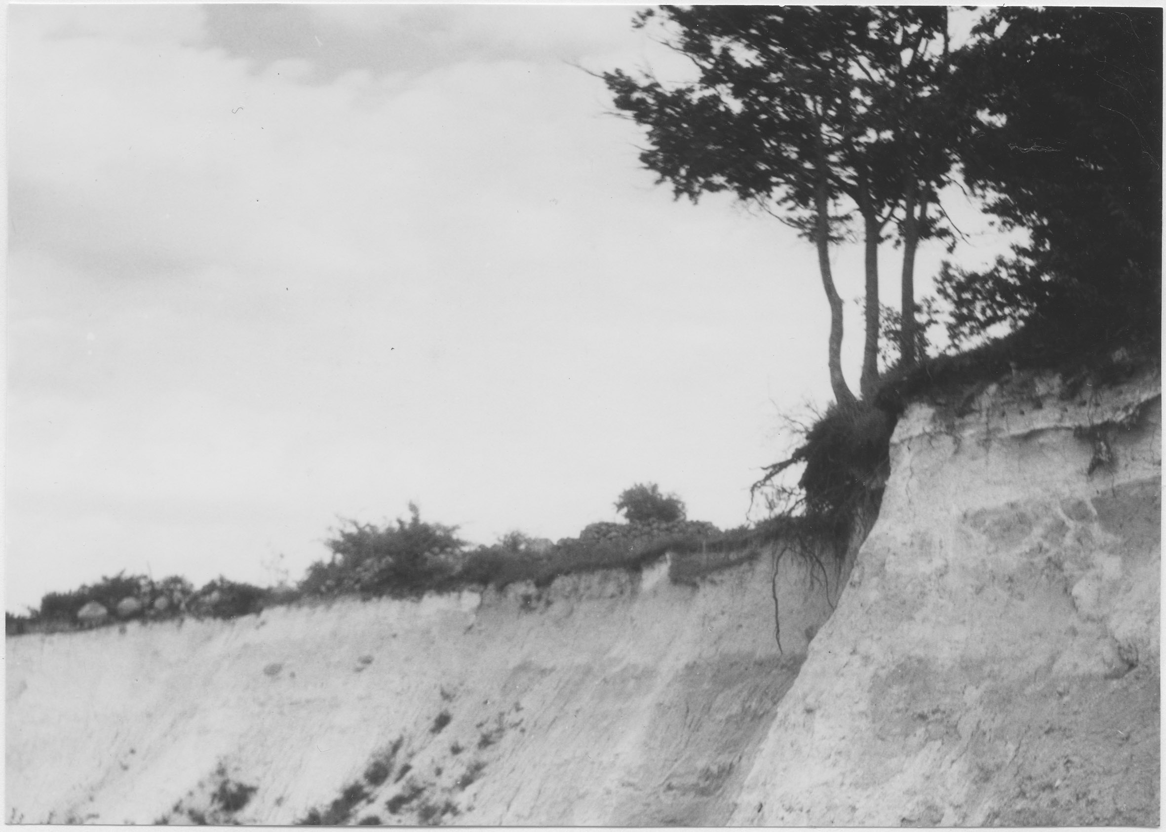 Mårten Sjöbeck, Hörby