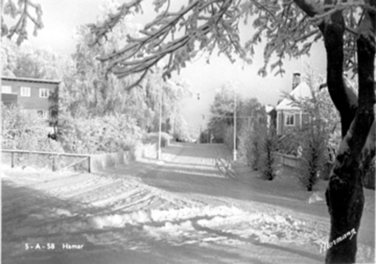 Anno Domkirkeodden, PARTI FRA FURNESVEGEN SETT FRA BAKSIDEN AV KIRKEN MOT SYKEHUSET, EKSTERIØR FURNESVEGEN 18, VINTER
