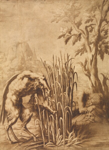 Unknown, Pan cuts the reed into which the nymph Syrinx has turned