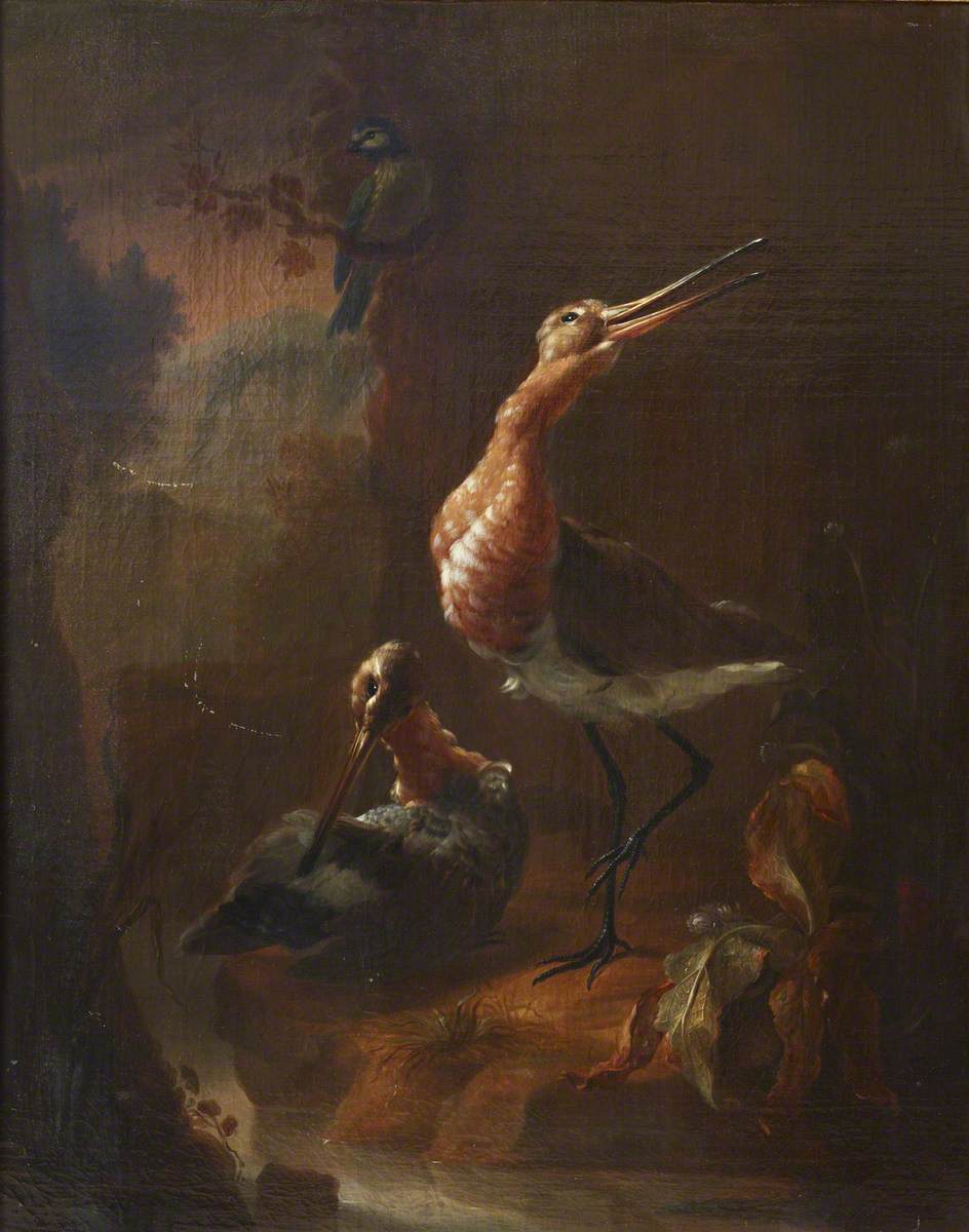 Jan Weenix, Two Godwits by a Stream, with a Blue Tit on a Branch above