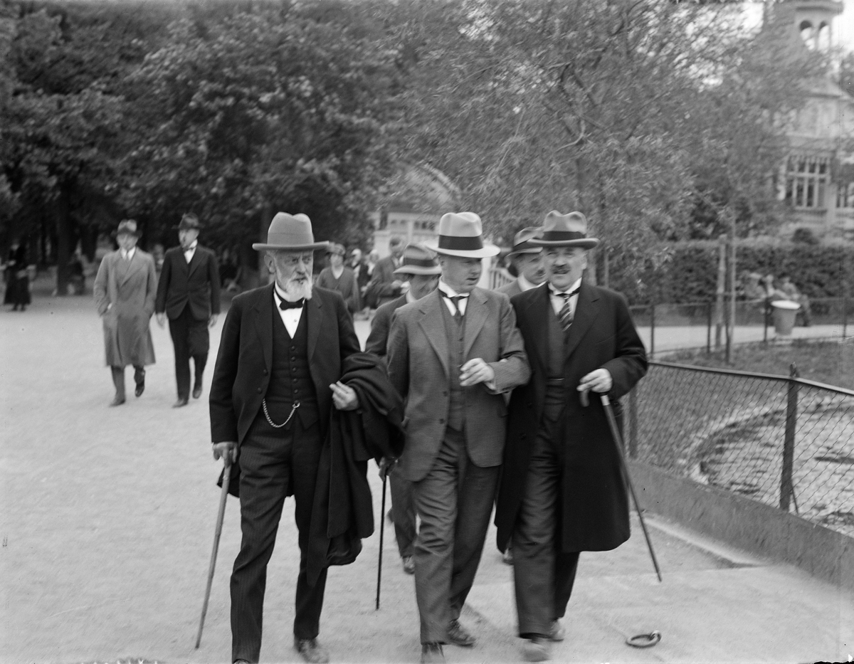 Paul Sandberg, Senior Physician Hugo Köster, dr E Belfrage and Professor Gustaf Bergmark, a participant in the Nordic Congress of Health Care Medicine at Svandammen