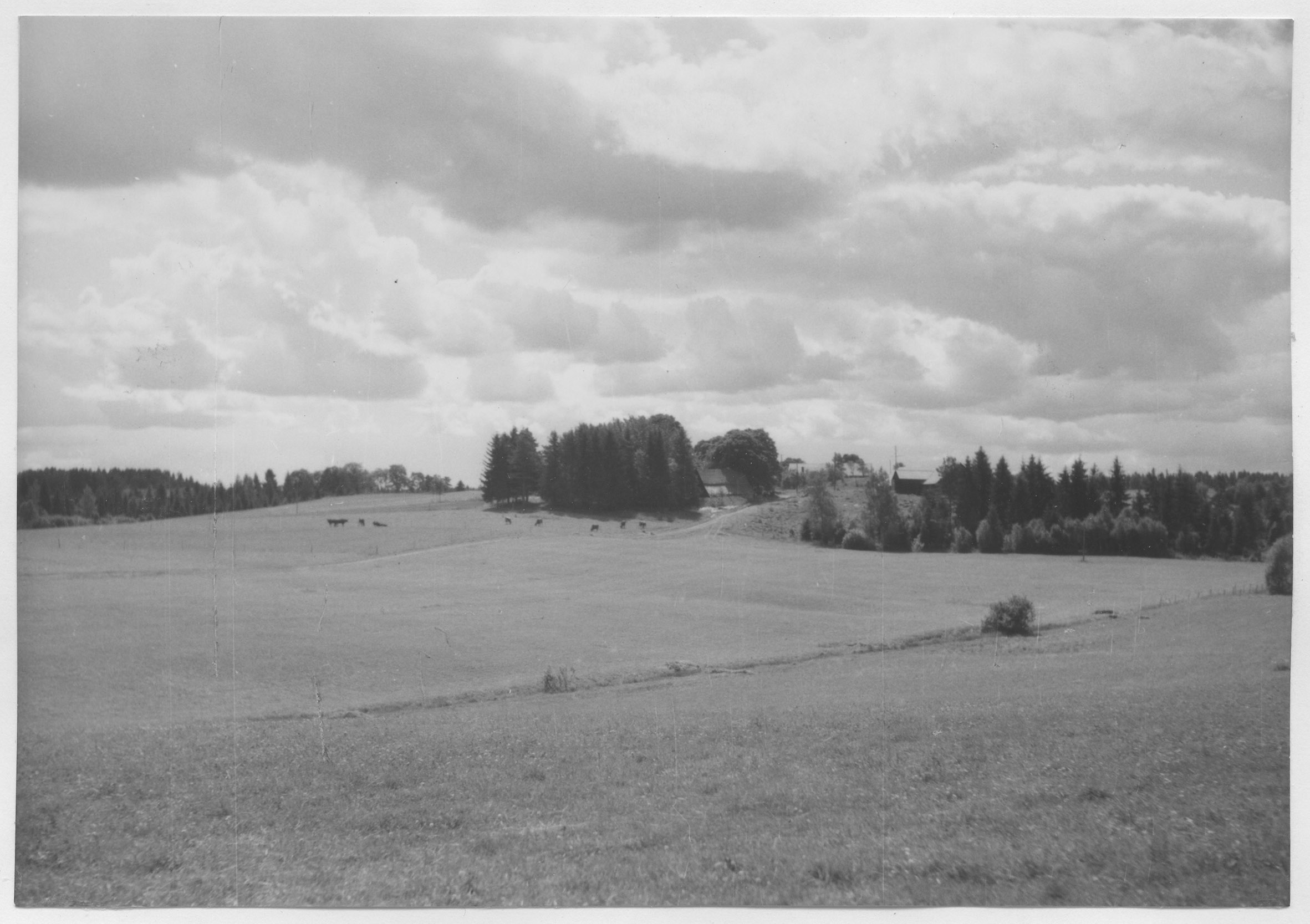 Mårten Sjöbeck, Onsön