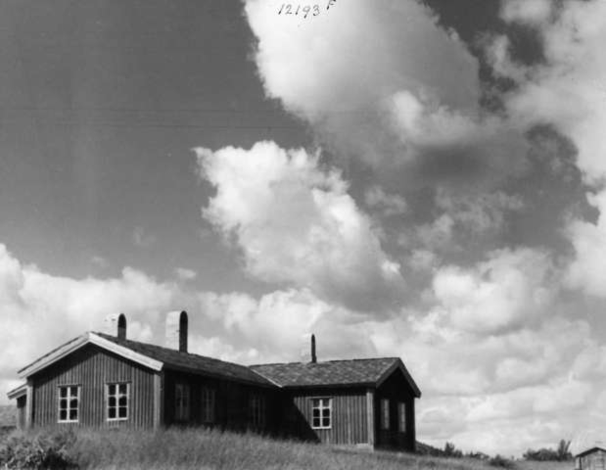 Anders Beer Wilse, -7992