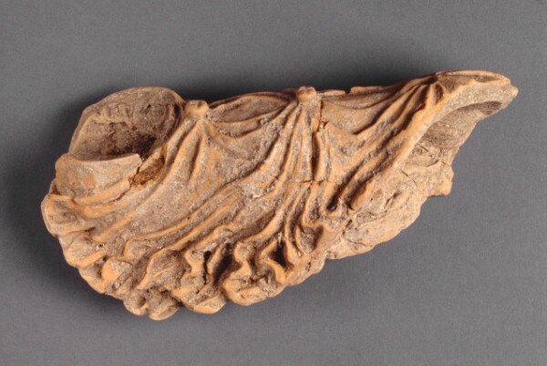 Unknown, Chiton Fragment