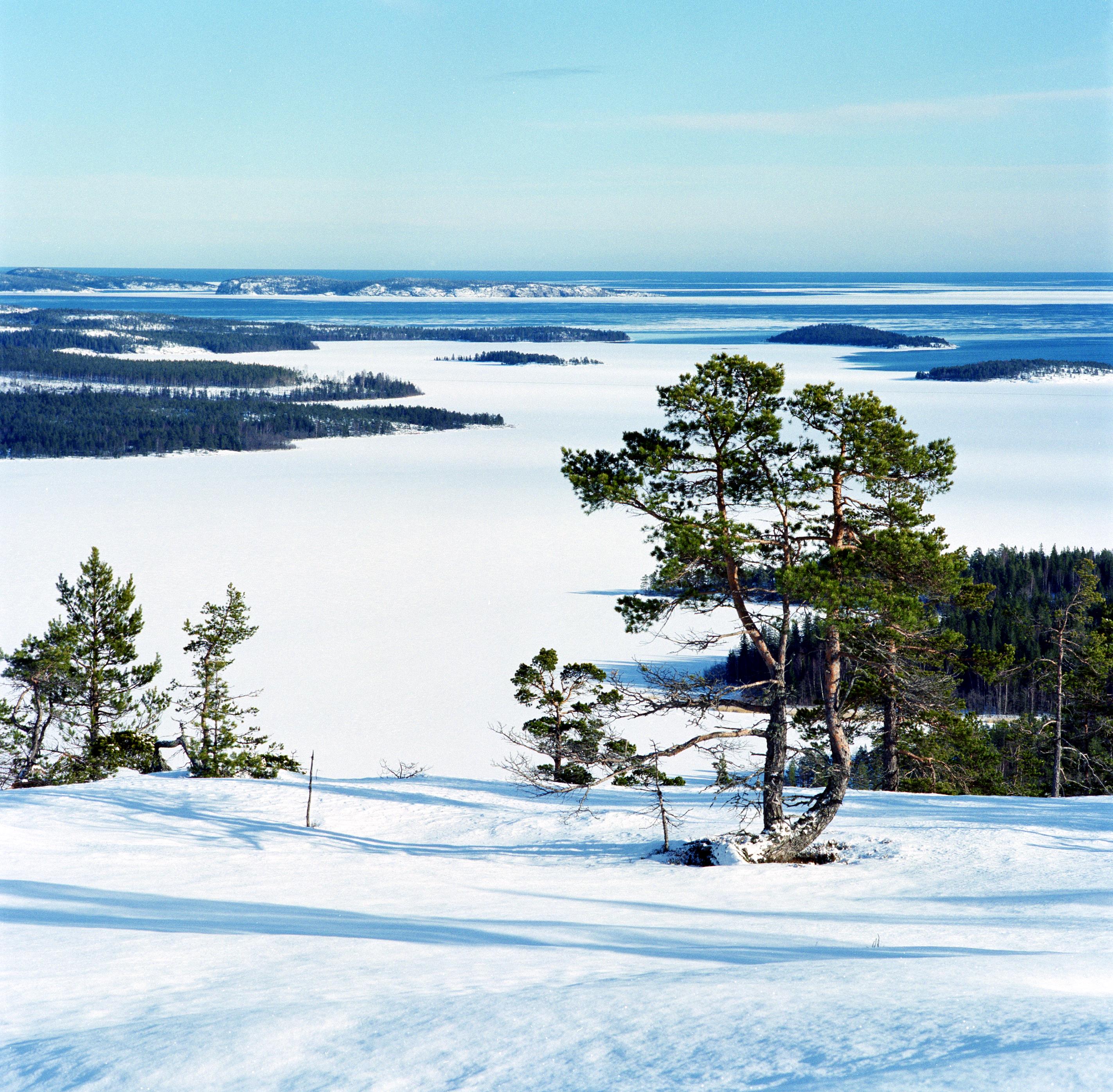 Bengt A Lundberg, Skuleskogens Nationalpark