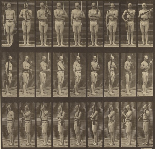 Eadweard J. Muybridge, Animal Locomotion