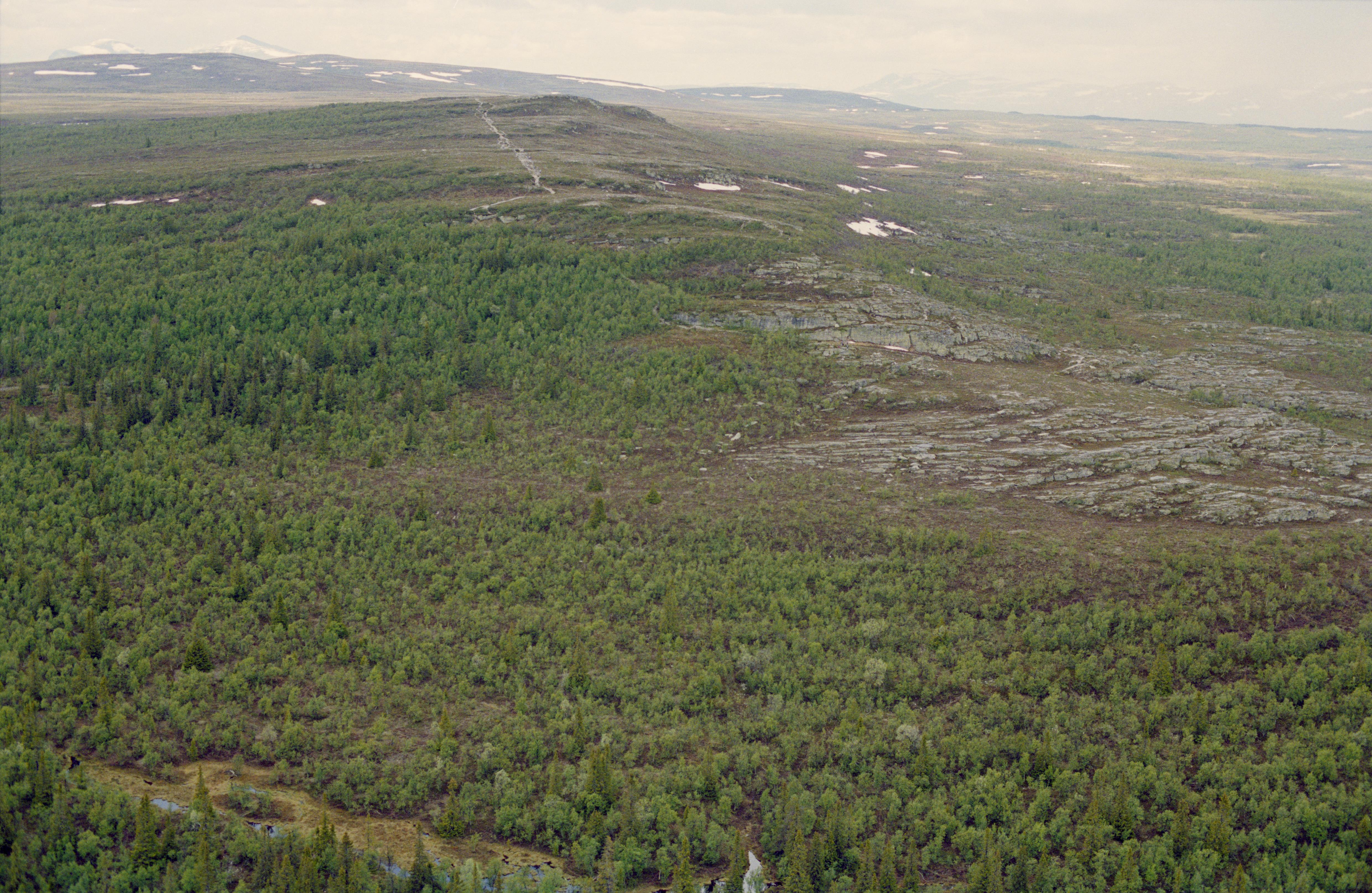 Jan Norrman, Tännäs 58:1