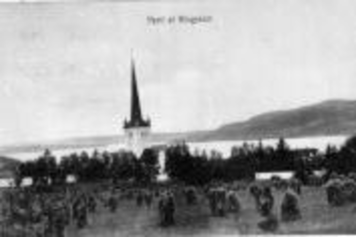 Anno Domkirkeodden, Landskap rundt Ringsaker kirke mot Mjøsa. Kornsnes til tørk i forgrunnen.