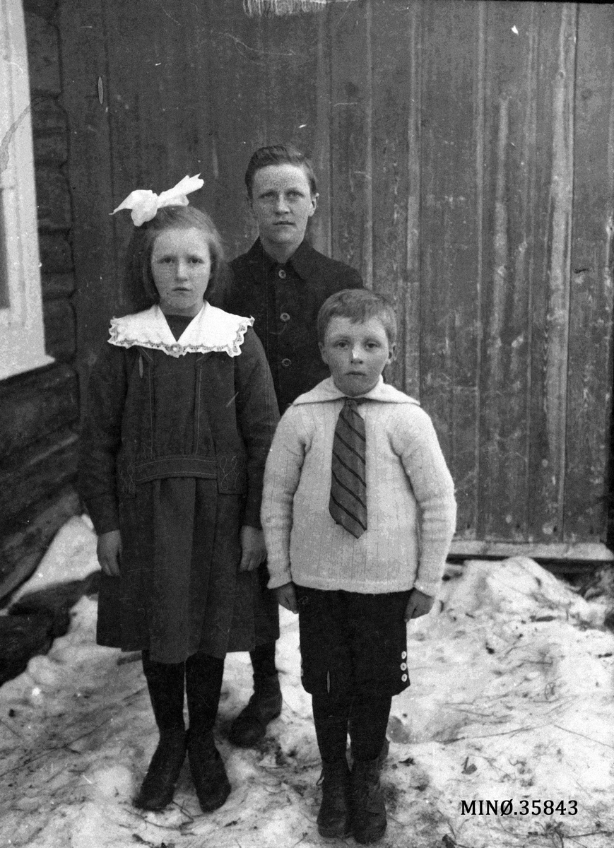 Ukjent, Søskenflokk - Elbjørg, Ragnvald og Olav Vang