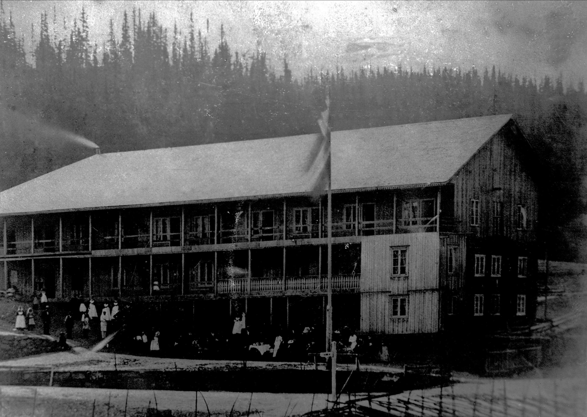 Gustav Borgen, Avfotografering. Stor tømmerbygning i skogslandskap. Sanatorium, høyfjellshotell?