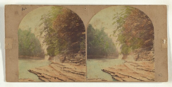 New York Stereoscopic Company, Trenton Falls. Looking down the river below the First Fall.