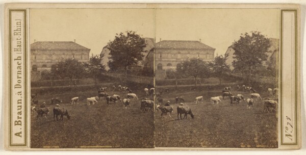Adolphe Braun, [Pastoral scene with herd of cattle, large villa in background]