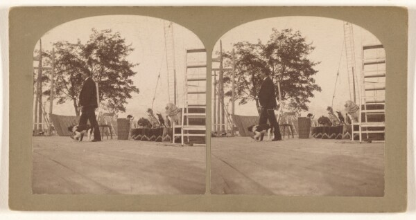 Unknown, [Dog show]