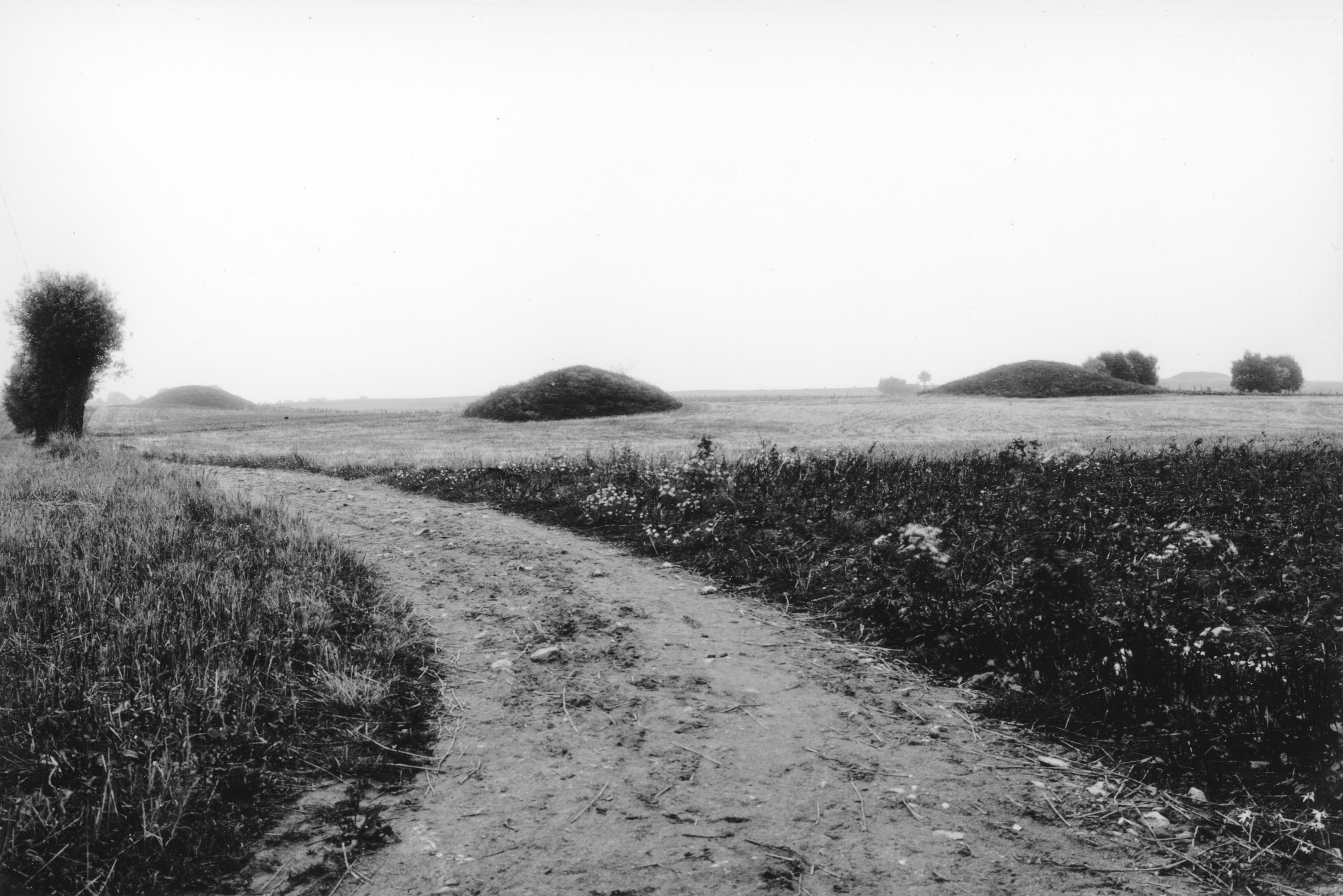 Mårten Sjöbeck, Steglarp