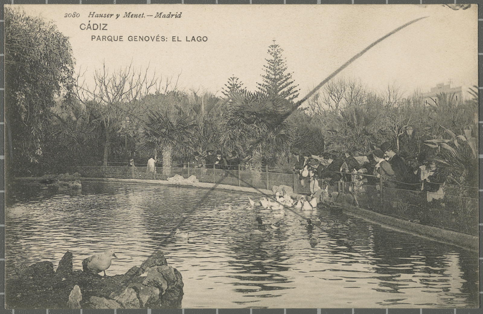 Desconegut, CÁDIZ PARQUE GENOVÉS: EL LAGO
