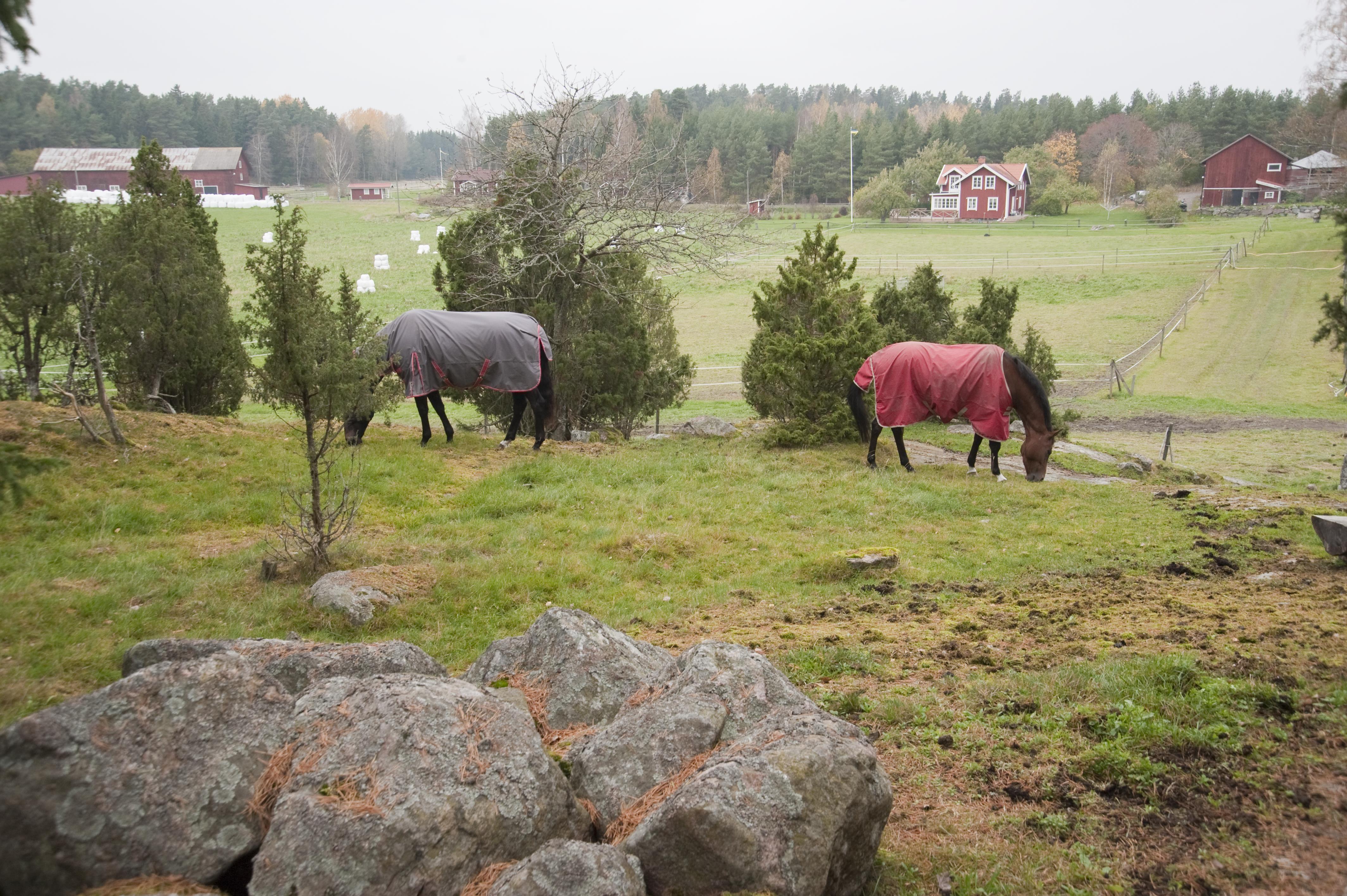 Bengt A Lundberg, Kvilunda gård