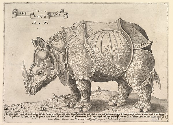 Enea Vico, Rhinoceros