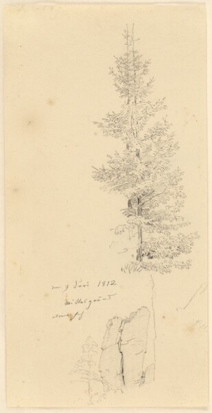 Caspar David Friedrich, Study of Pine Trees and a Rock (recto); Landscape (verso)