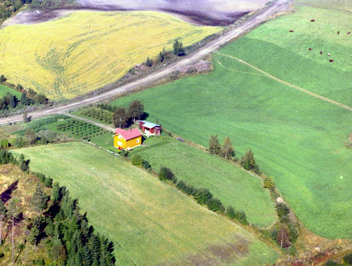 Widerøes Flyveselskap A/S, FLYFOTO NYSTED