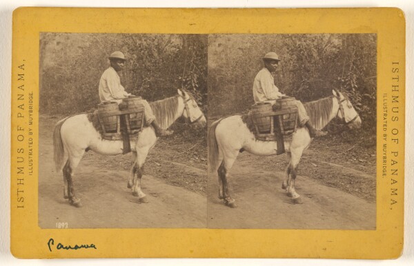 Eadweard J. Muybridge, Panama. Water Carrier.
