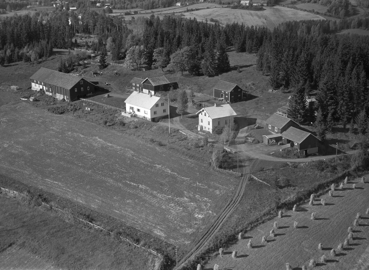 Anno Domkirkeodden, Flyfoto, gardbruk, Berg øvre, Nes, Hedmark.