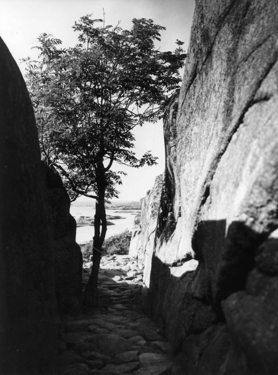 Anders Beer Wilse, Horten, Kullebekk, Landskap