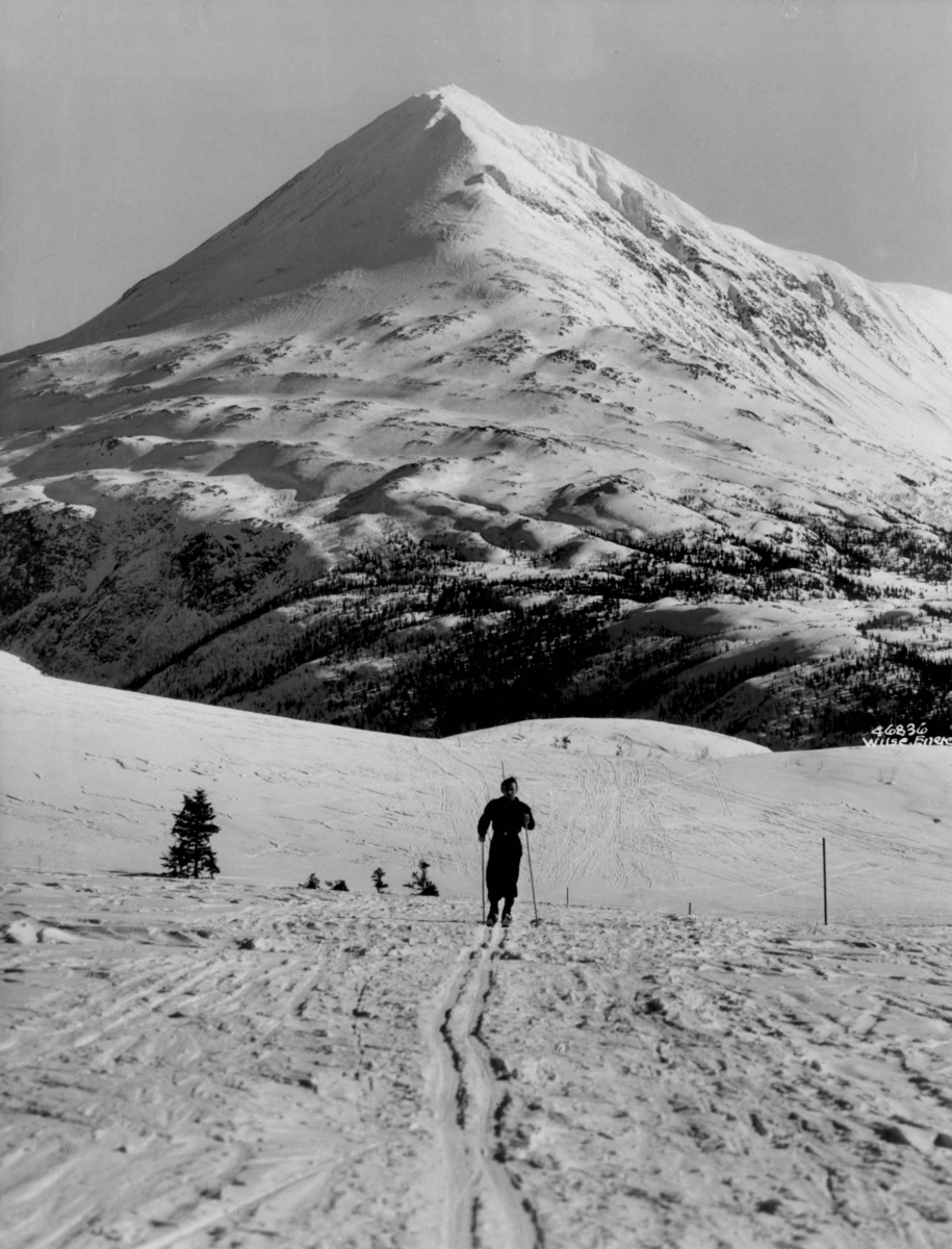 Anders Beer Wilse, Landskap ved Gaustatoppen med skiløper. Snødekte fjell.
