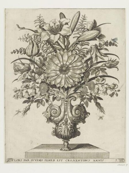 Unknown, Print