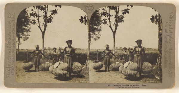 Carleton H. Graves, Carrying the rice to market. Java.