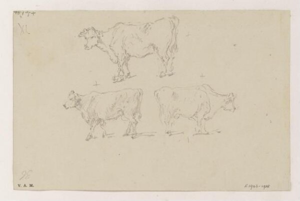 George Chinnery, Three cows