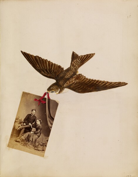 Unknown, [Photo collage of bird carrying portrait of Lord and Lady Yarborough]