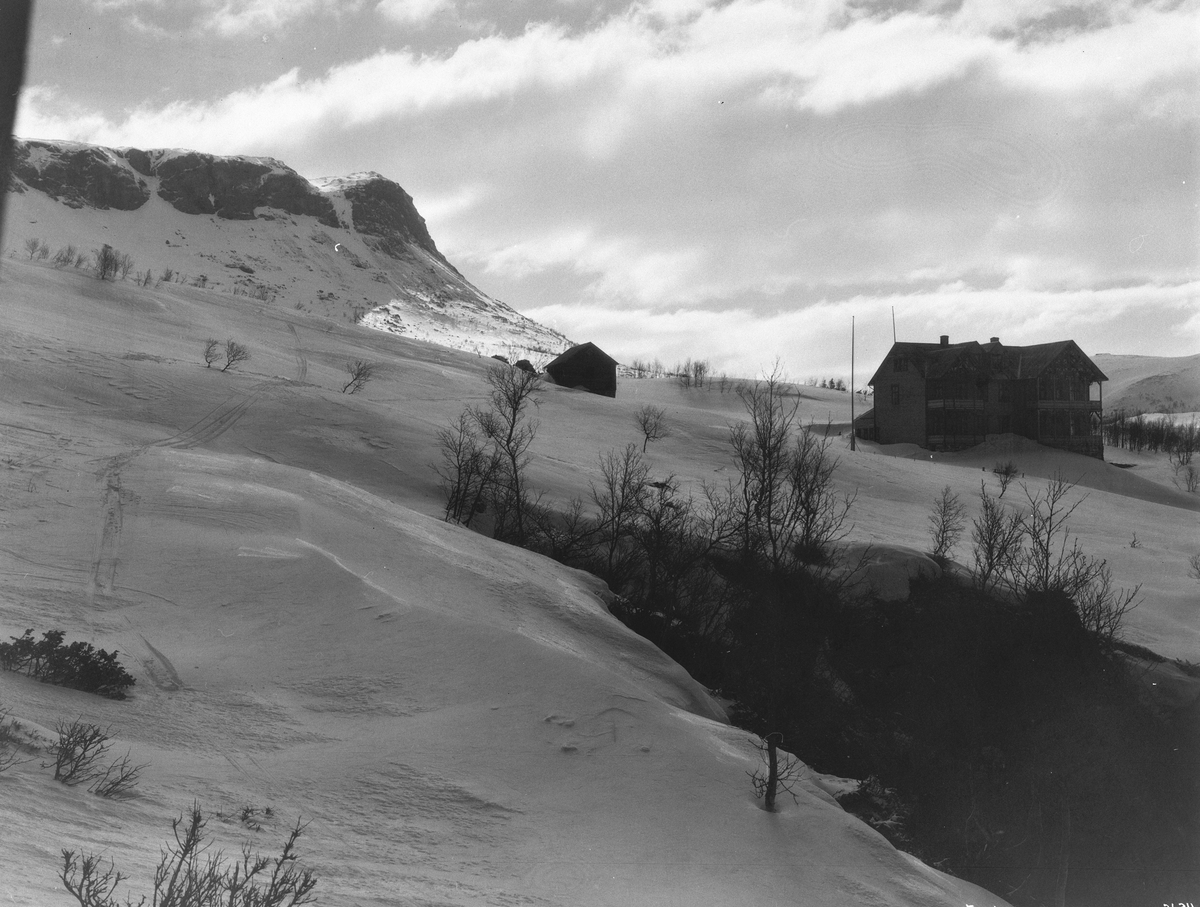 Anders Beer Wilse, Prot: Hardanger - Fosli Hotel