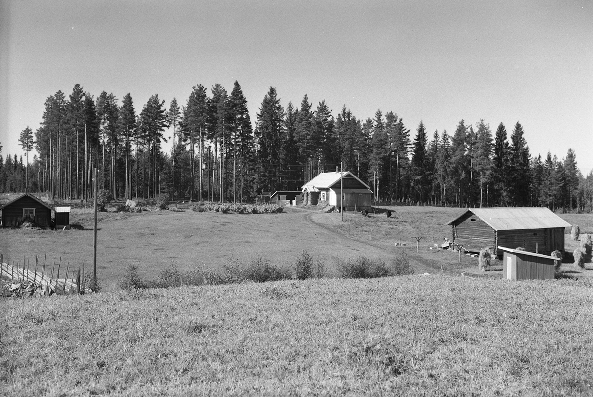 Anno Domkirkeodden, EKSTR: GARDSTUN, KJERNSHOLEN, LØTEN. Se Løtenbok nr. 3 fra 1955 side 768