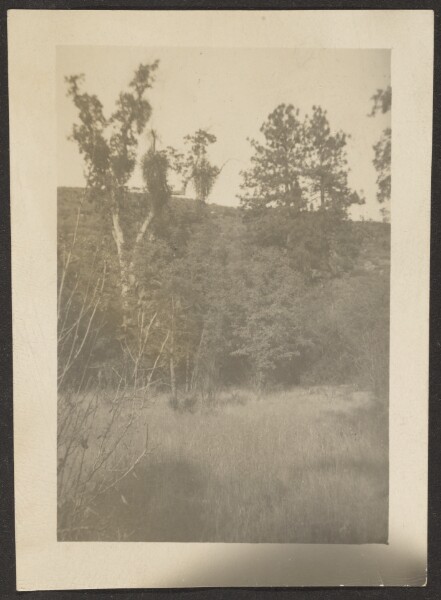 Louis Fleckenstein, [Landscape]