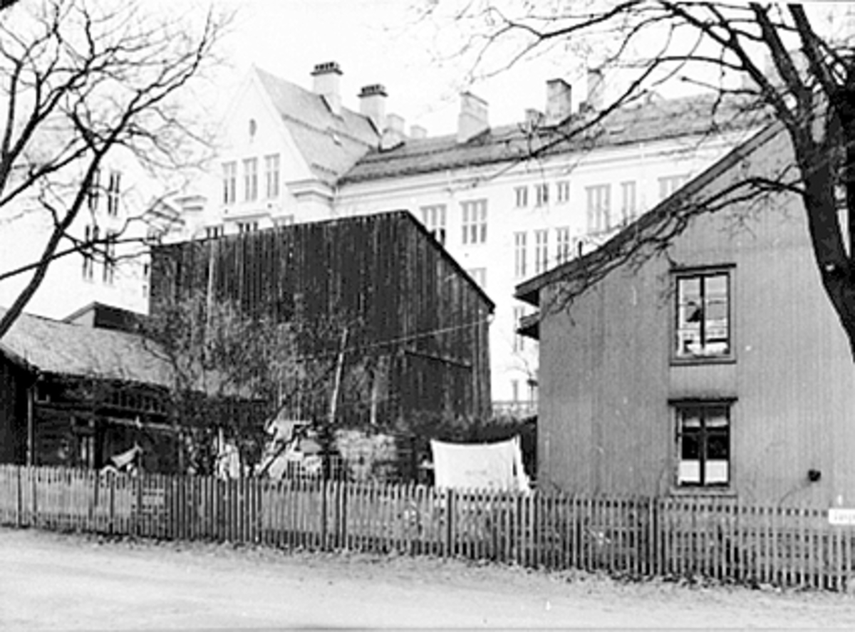 Anno Domkirkeodden, BAKGÅRD, SANGENVEGEN 11, HAMAR KATEDRALSKOLE, KATTA I BAKGRUNNEN