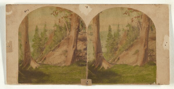 New York Stereoscopic Company, Niagara Falls. View from Goat Island - Clifton House in the distance.