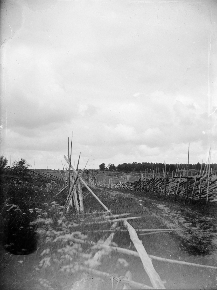Carl Liljefors, Landscape view with Farehouses, likely Uppland