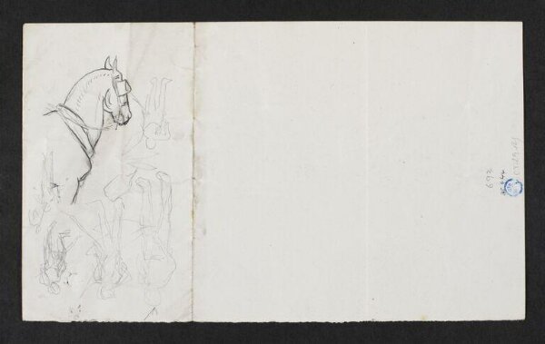 Potter, Beatrix, drawing