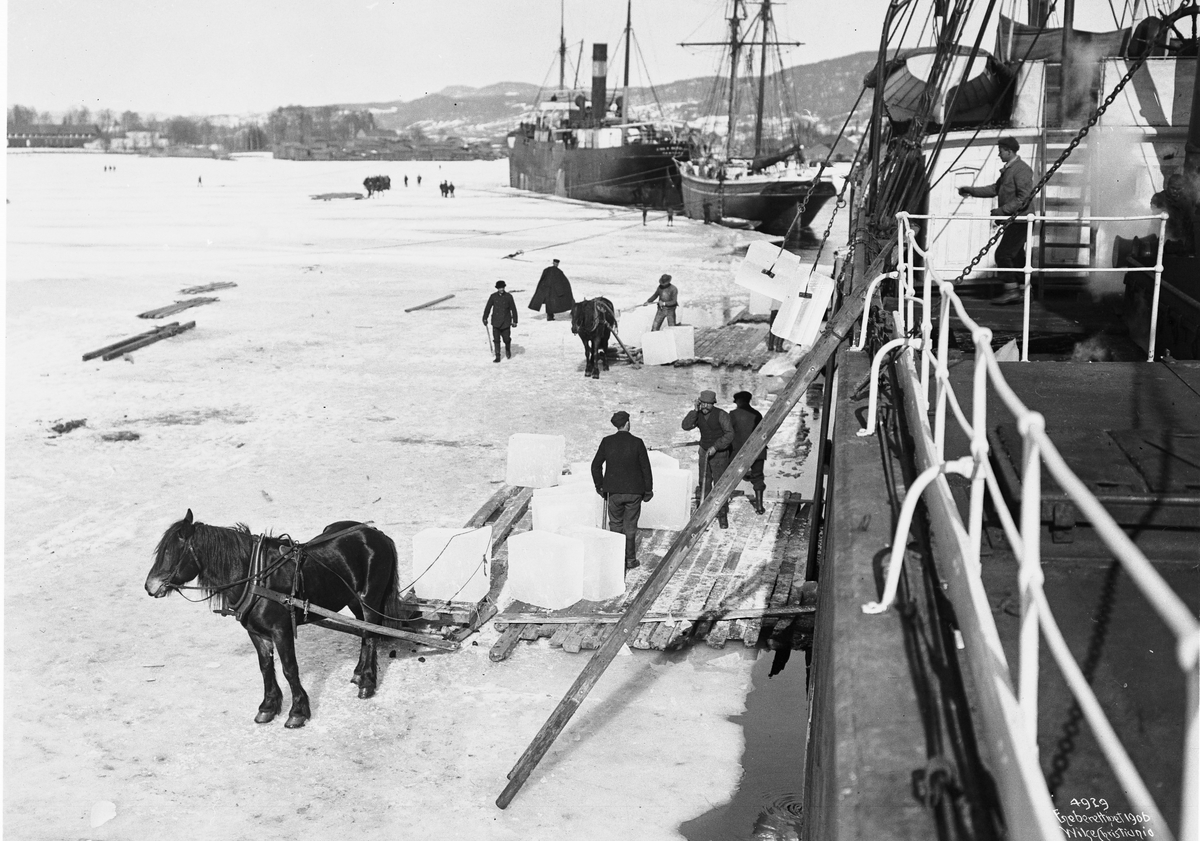 Anders Beer Wilse, Prot: Isskjæring i Drammensfjorden Dampskibe 16/3