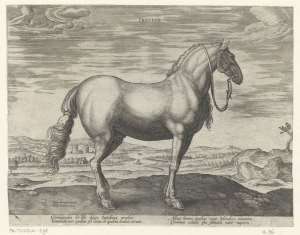 Collaert, Hans, (approximately 1530-1581), (printmaker), The stable of Don Juan of Austria: Insuber
