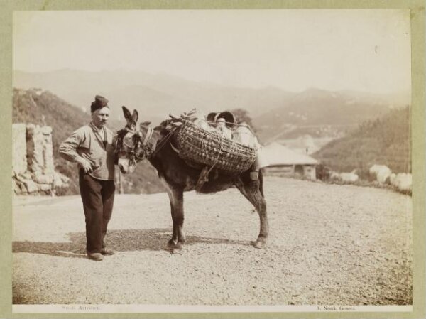 Unknown, Photograph