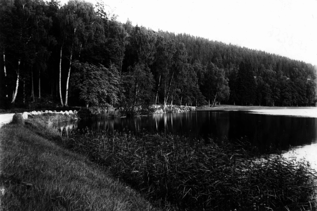Hermann Christian Neupert, Fra Bogstad ca. 1923. Parken. Vei langs Bogstadvannet. Trær.