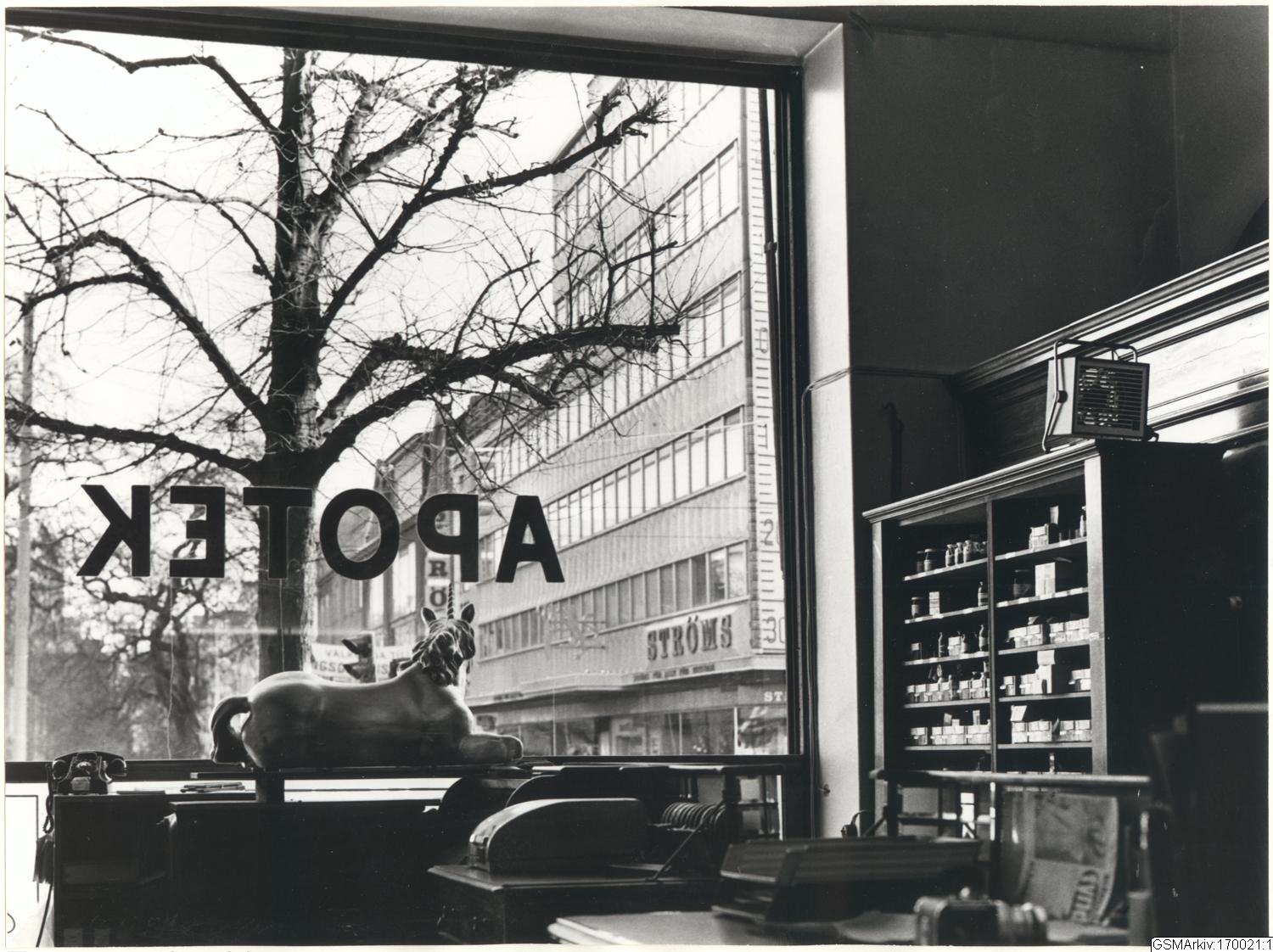 Westergren, Staffan, fotograf, bilder, fotografi, påsiktsbild