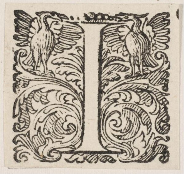 Unknown, Print