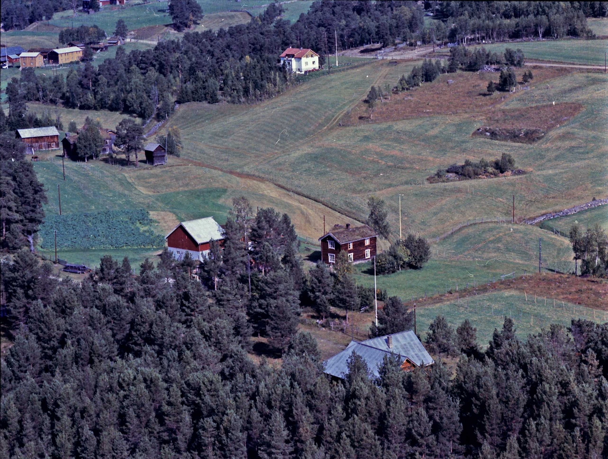 Widerøes Flyveselskap A/S, Gårdsbruk.