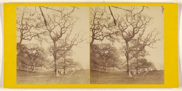 Unknown, [Bridge at Penrose]