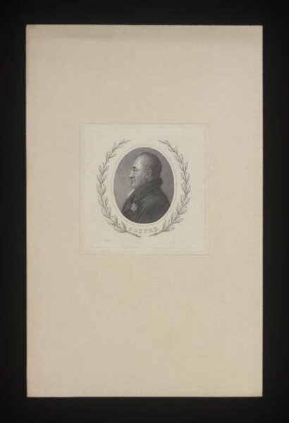 unknown, Goethe