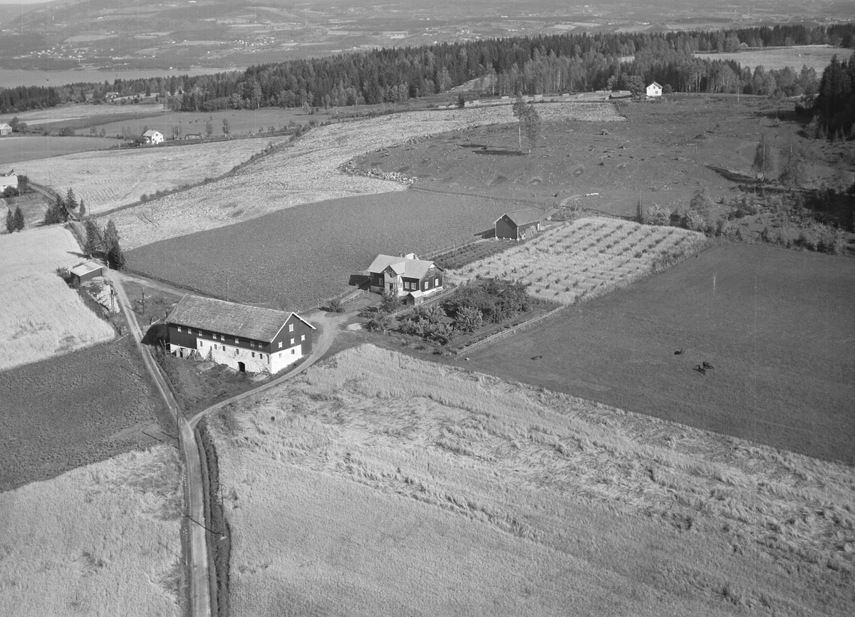 Anno Domkirkeodden, Flyfoto, gardsbruk, Kjennli, Nes, Hedmark.