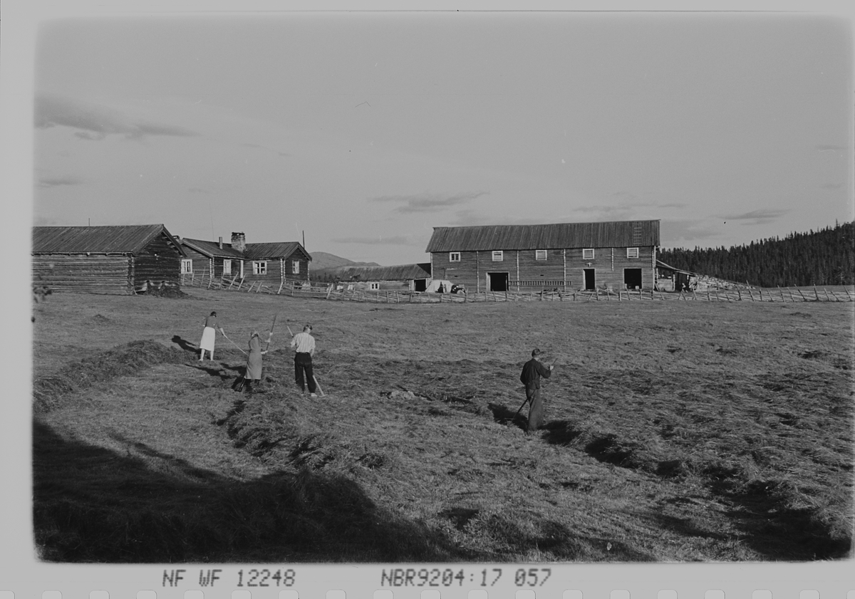 Anders Beer Wilse, Prot: Hierkjölen Fjellgård